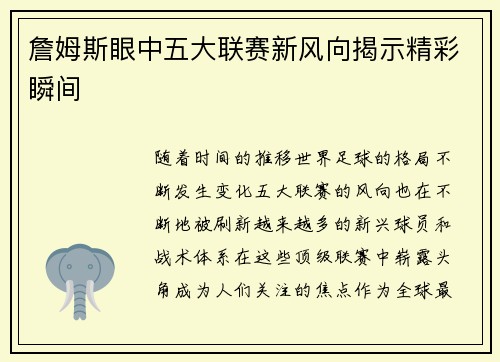 詹姆斯眼中五大联赛新风向揭示精彩瞬间